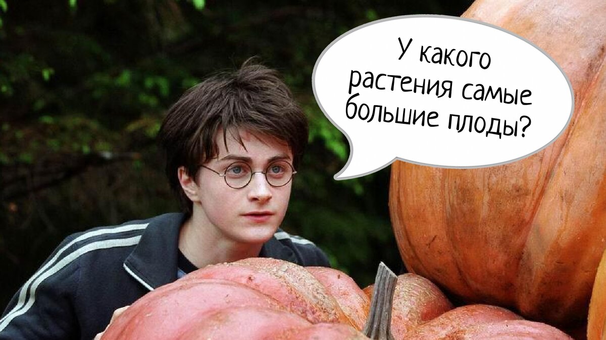 Отгадать все пока не смог никто» — 10 загадок на нестандартное мышление |  Этому не учат в школе | Дзен