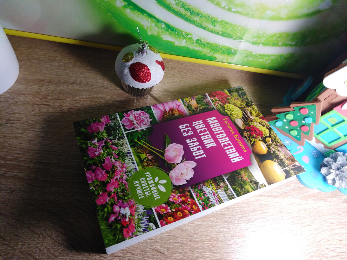 Люблю читать книги!