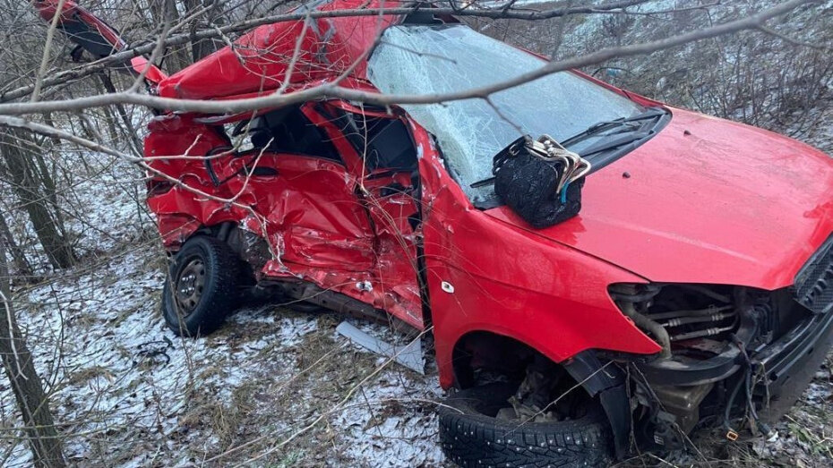   Автор фото: пресс-служба ГУ МВД по Воронежской области