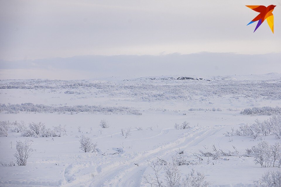     В Мурманской области сохраняется морозная погода со снегом. Антон ЗАБИРОВ