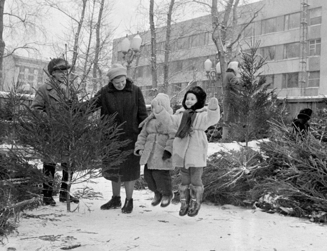 Новая советская. Елочный базар СССР. Советский новый год фотографии. Новогодний базар СССР. Новогодняя елка СССР.