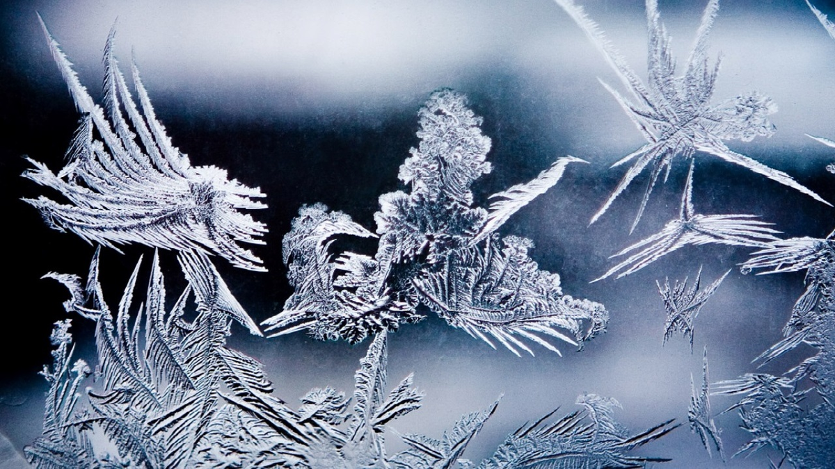 Илл. из открытого источника