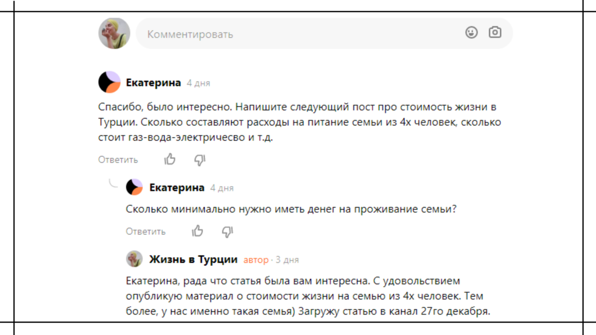Этот комментарий-вопрос Екатерина разместила под этой моей статьей об отношении к русским в Турции: - https://dzen.ru/media/zhizn_v_turtsii/kak-v-turcii-otnosiatsia-k-russkim-63a5b3f9ac48bb2db7759272?&comments_data=n_new 