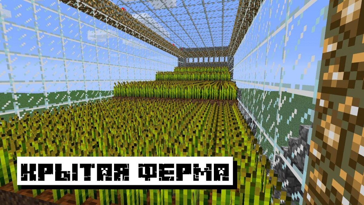 Как сделать Ферму в Майнкрафт: 4 простых шага | Планета Minecraft 2024 |  Дзен