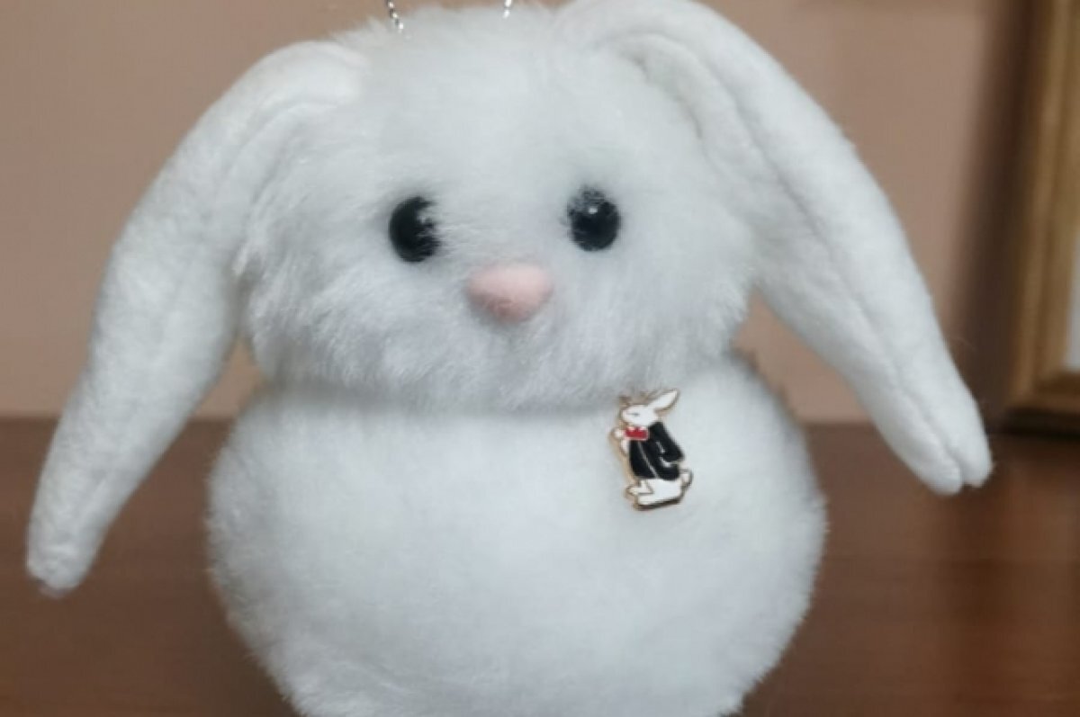    Игрушка победителя конкурса Николая Быстрова.
