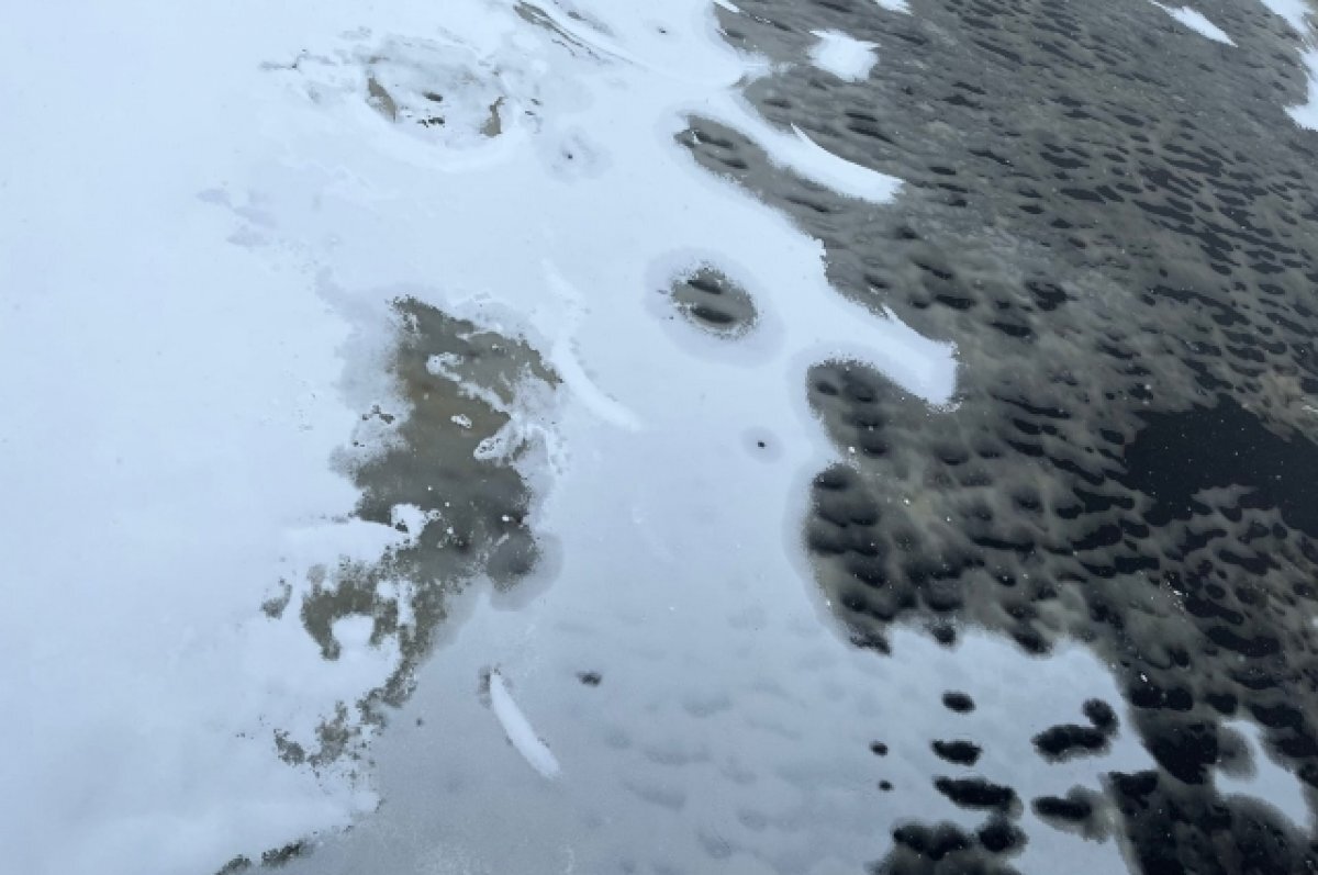    В Тверской области на водоемах появились из-за оттепели промоины