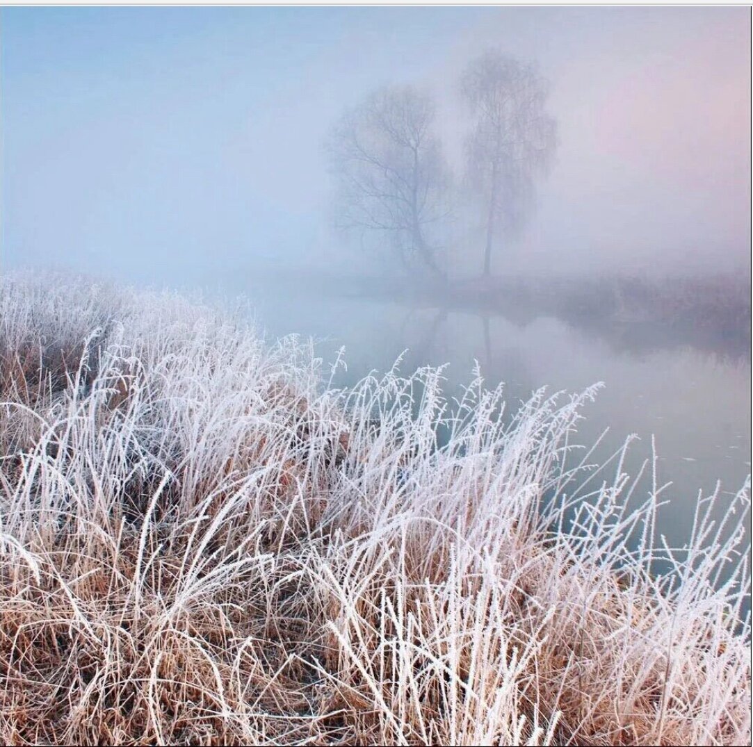 Изображение из свободных источников.