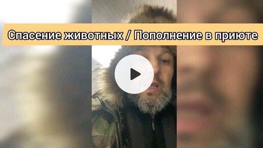 Спасение животных / Пополнение в приюте