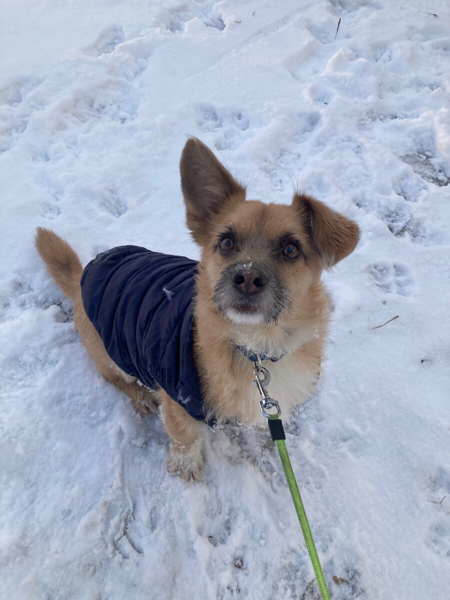 Умка, номер 2