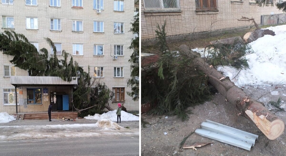    Обошлось без пострадавших. Татьяна Пульная
