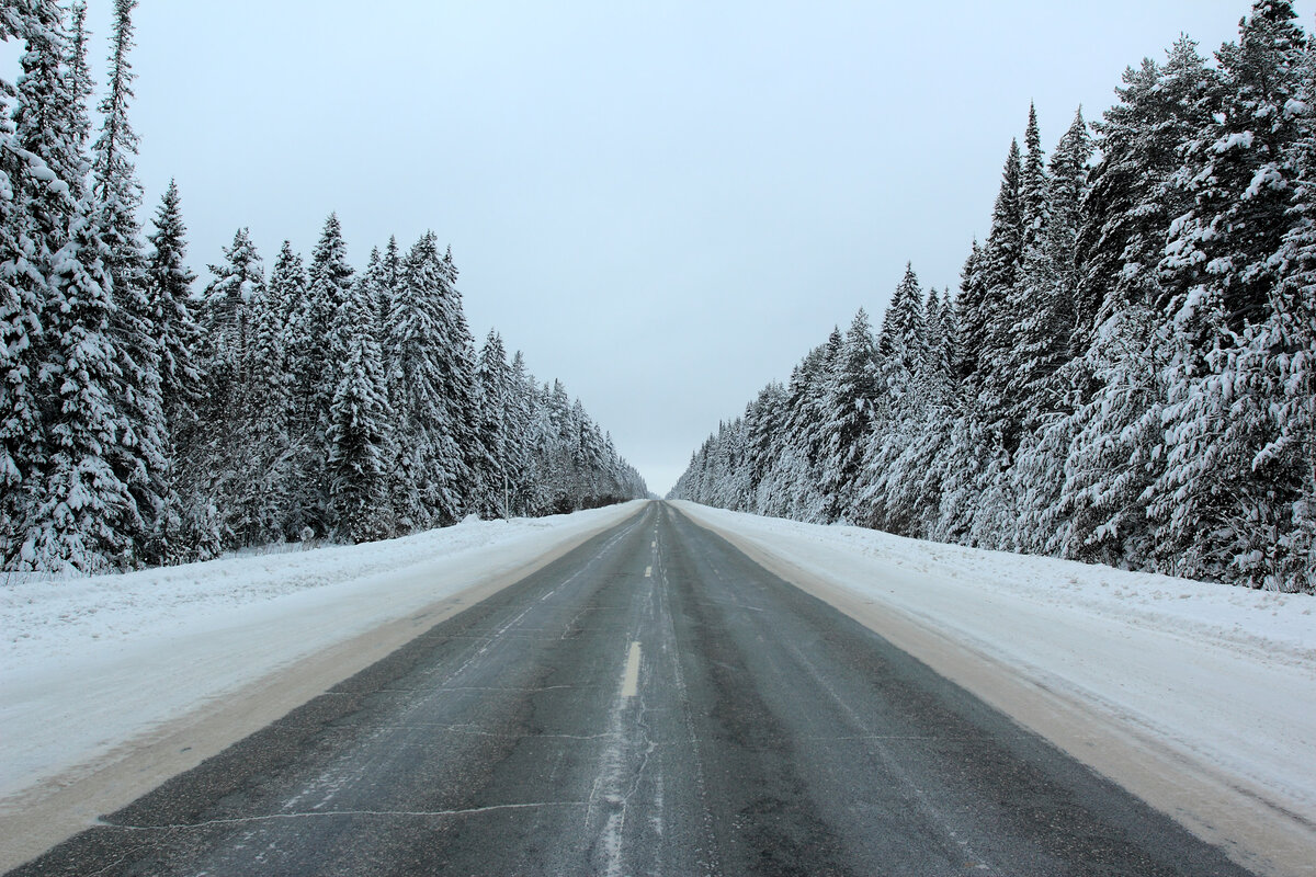 Яндекс картинки
