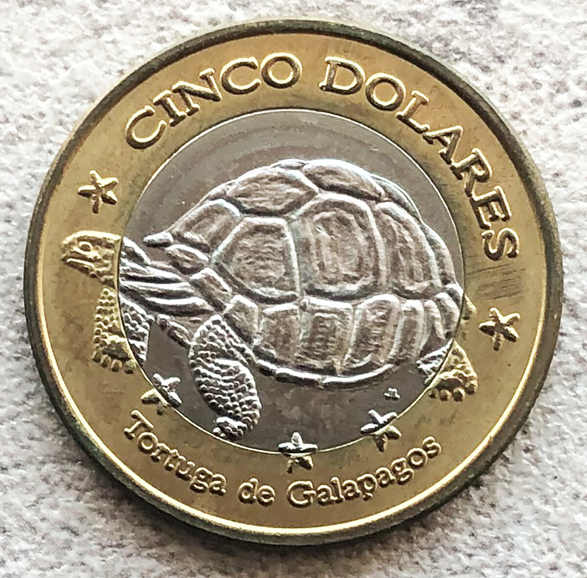Галапагосы 5 долларов 2008 Слоновая Черепаха. Фото автора.