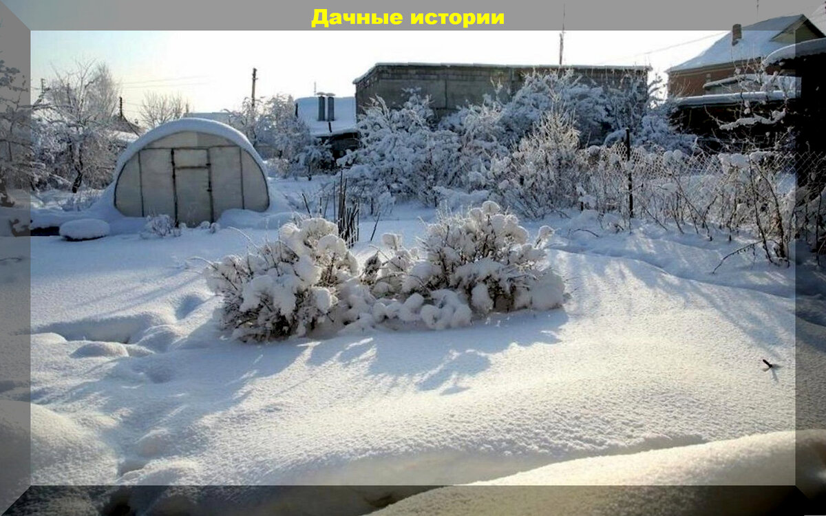 https://vk.com/photo-159774511_457257858