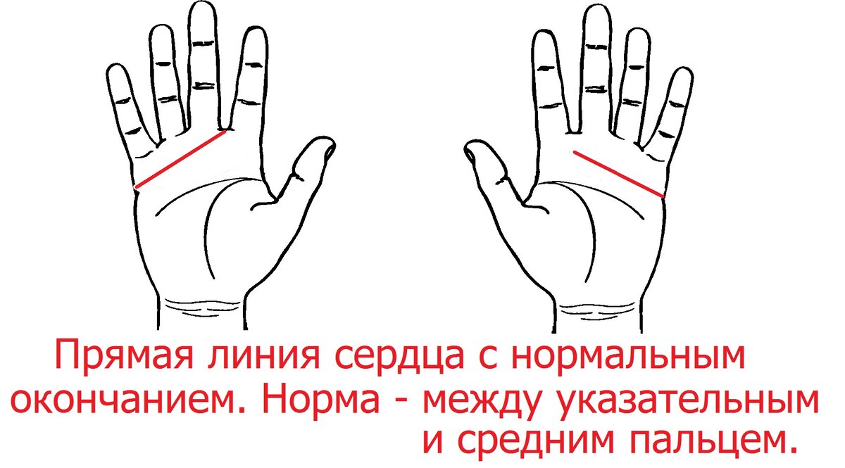 Прямая линия Сердца без веток в конце линии