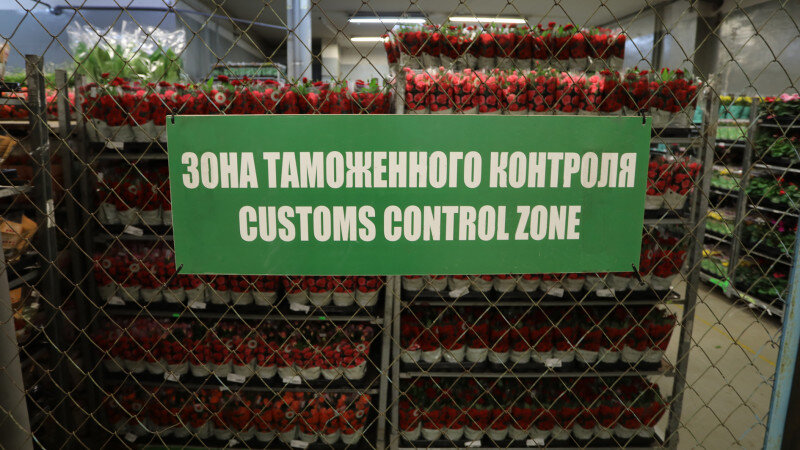     Таможенный контроль. stu.customs.gov.ru