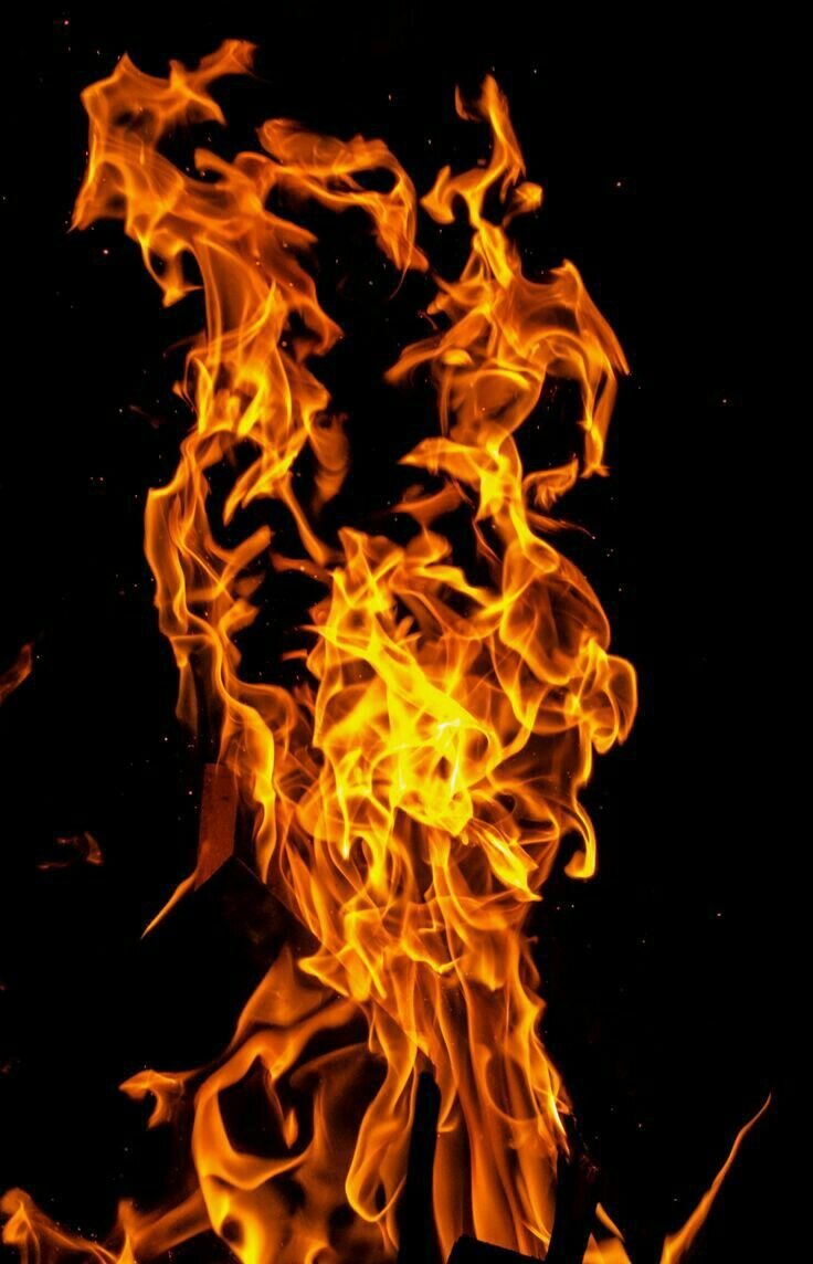 Фото с просторов интернета 