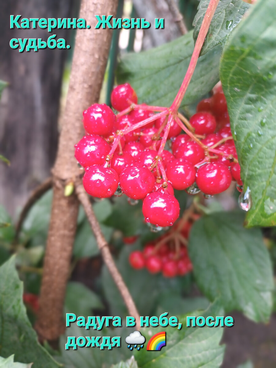 Фото из личного архива автора. 