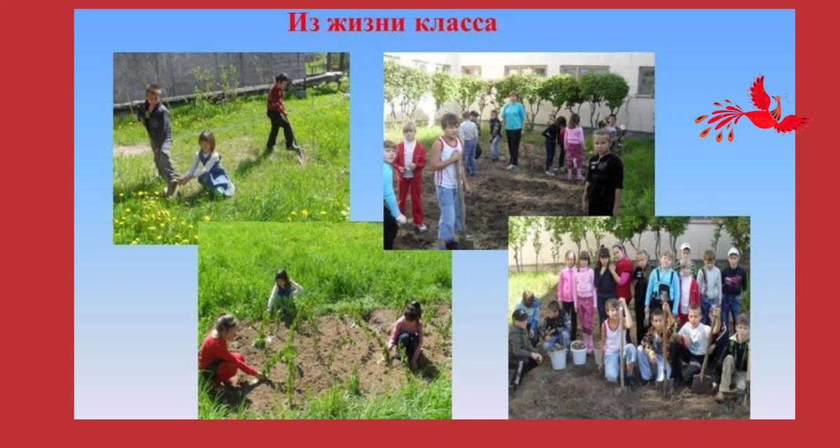 Коллаж автора