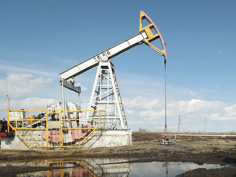    Нефтяная сделка между Россией и Пакистаном может перерасти в трехсторонний формат