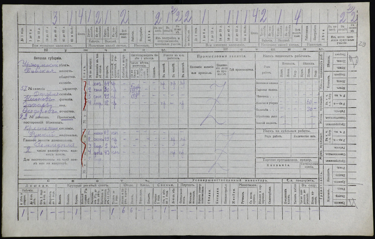 Переписи вятского края. Подворные карточки сельскохозяйственной переписи 1917 года. Перепись 1917. Перепись 1917 года Башархив.