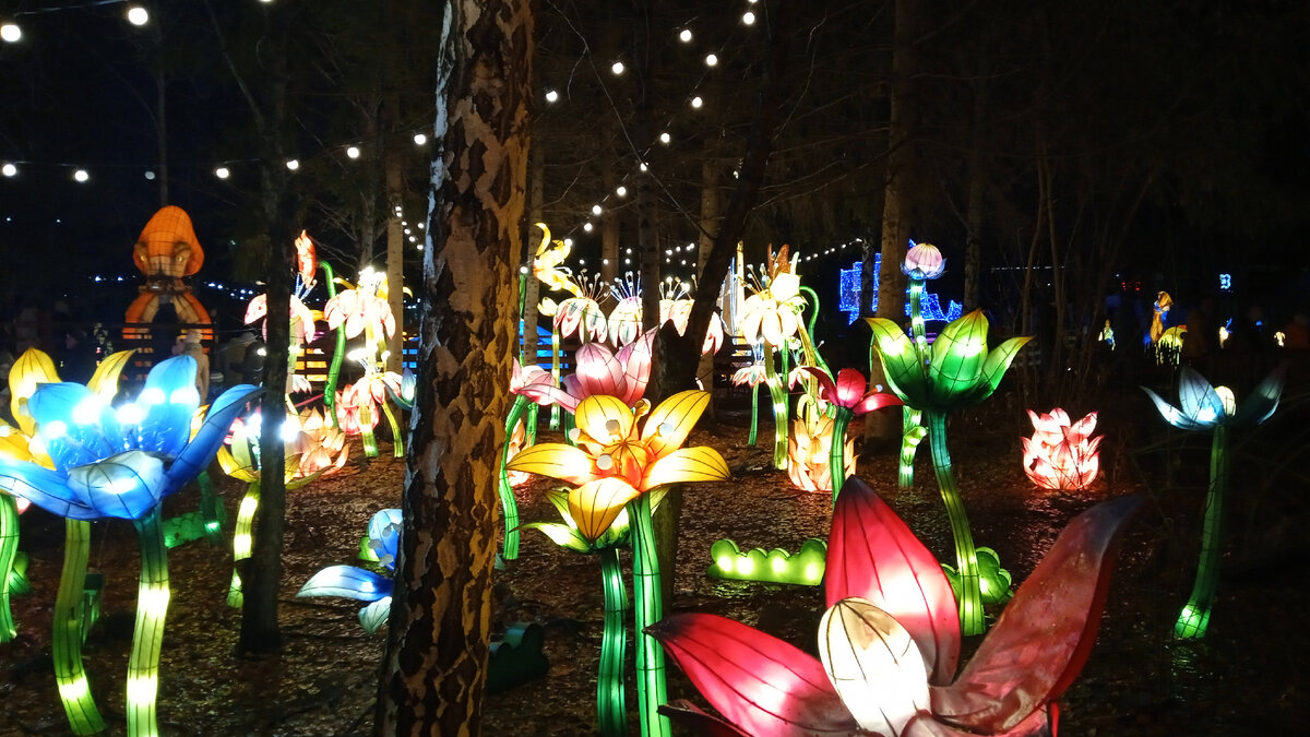 Парк цветов