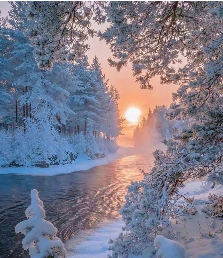                             Природа вдохновляет