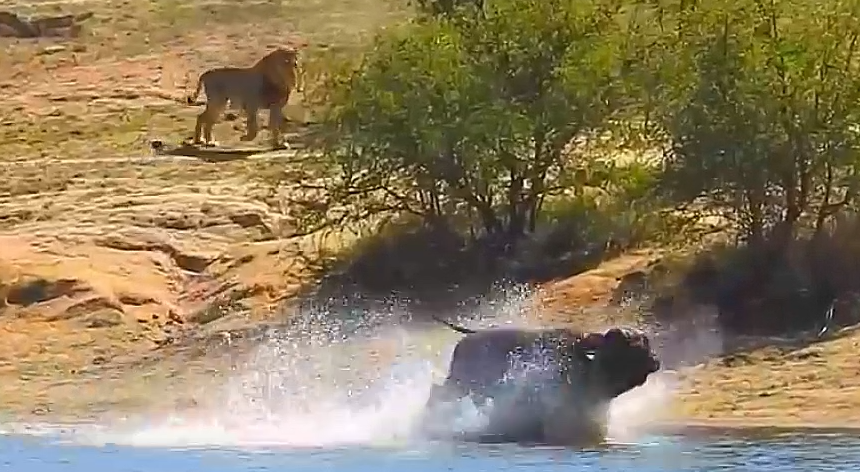 Пришлось зайти в воду.
