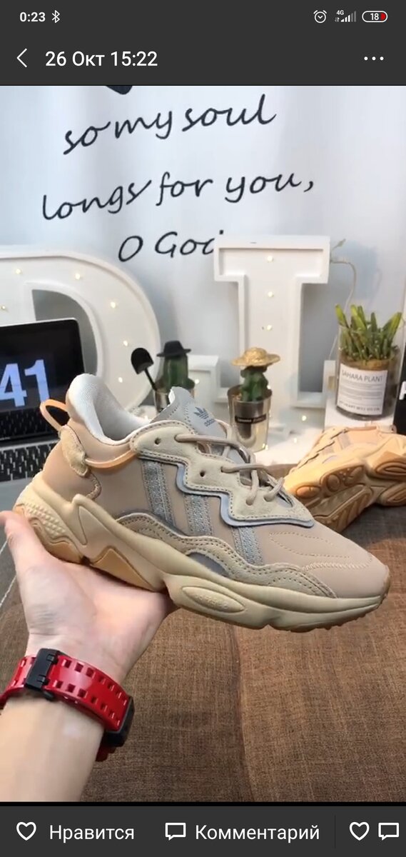 Adidas ozweego adiprene yeezy, как было указано в подводке. Стоили 200 юаней. 