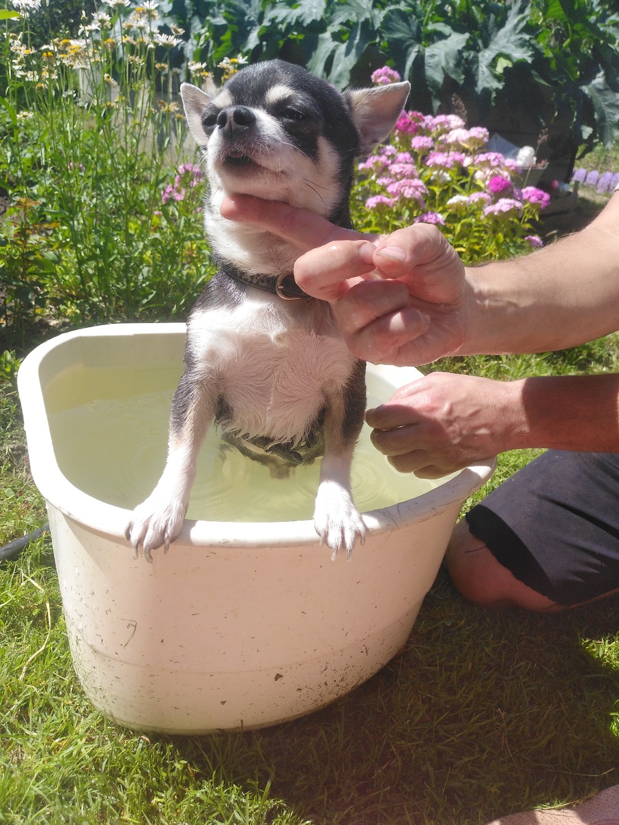 Лушкино лето )))))