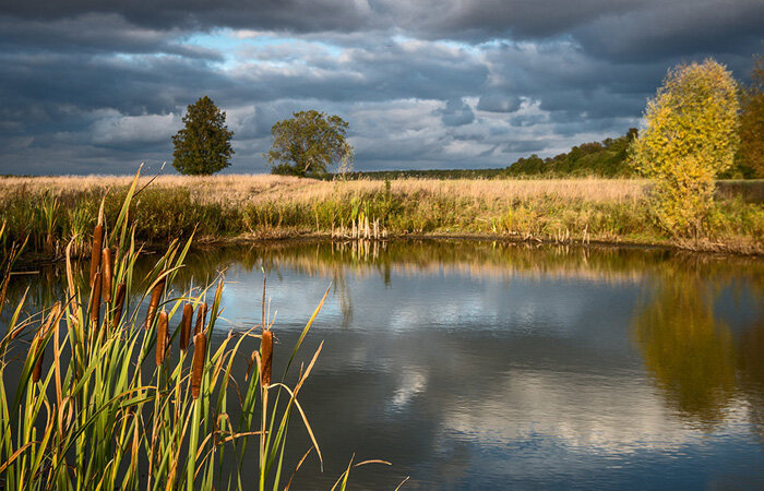 Фото Влада Никишина ©