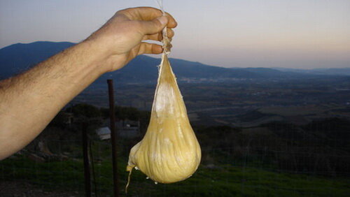  Сардинский сыр считается запрещённым продуктом, поскольку его производят из козьего молока, ферментированного в желудке козлёнка. Сразу после рождения козлёнка убивают, наполняют молоком его желудок и подвешивают на несколько месяцев, пока молоко не превратиться в твёрдый сыр.