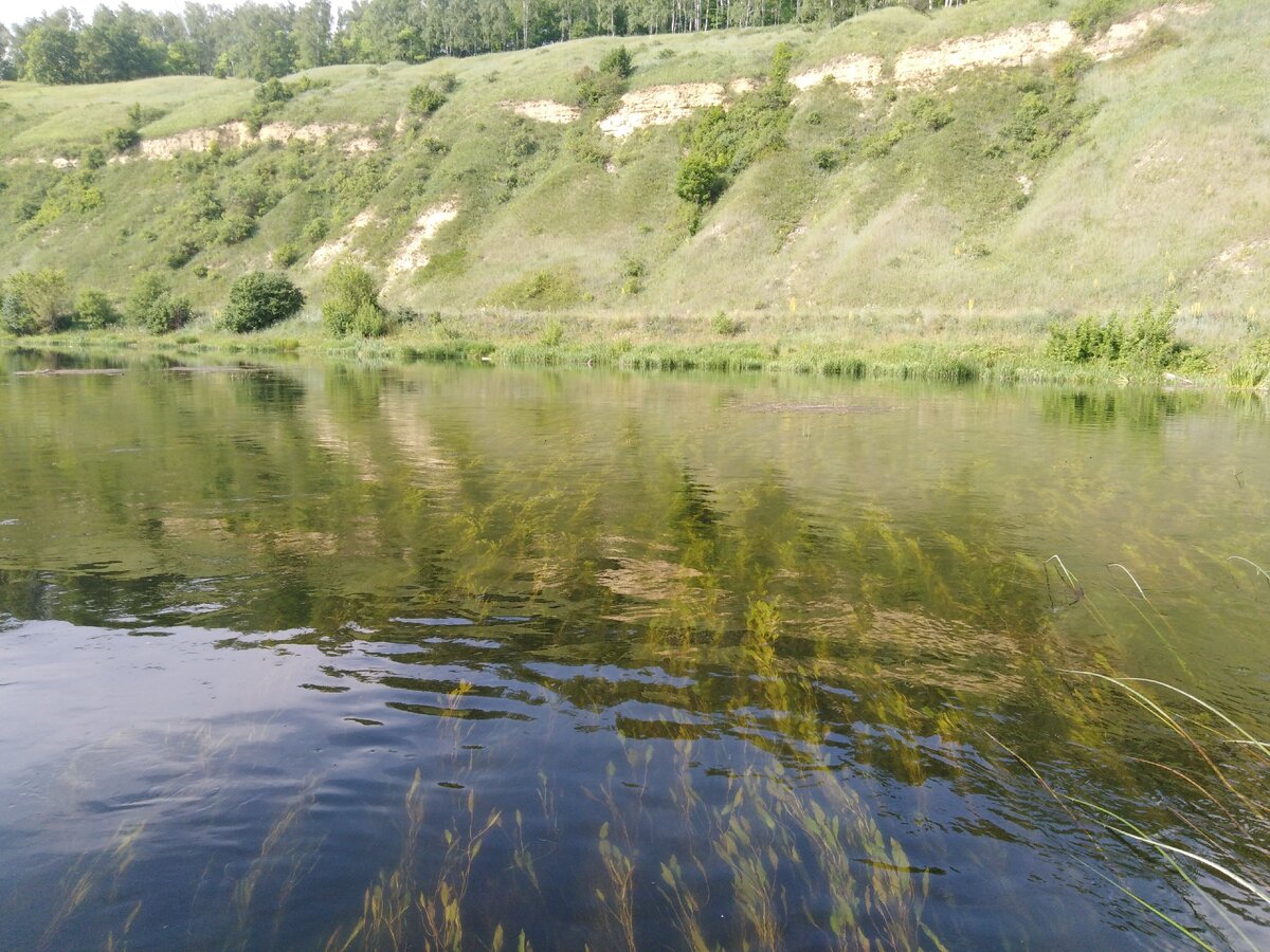 Сплав по реке Зуша