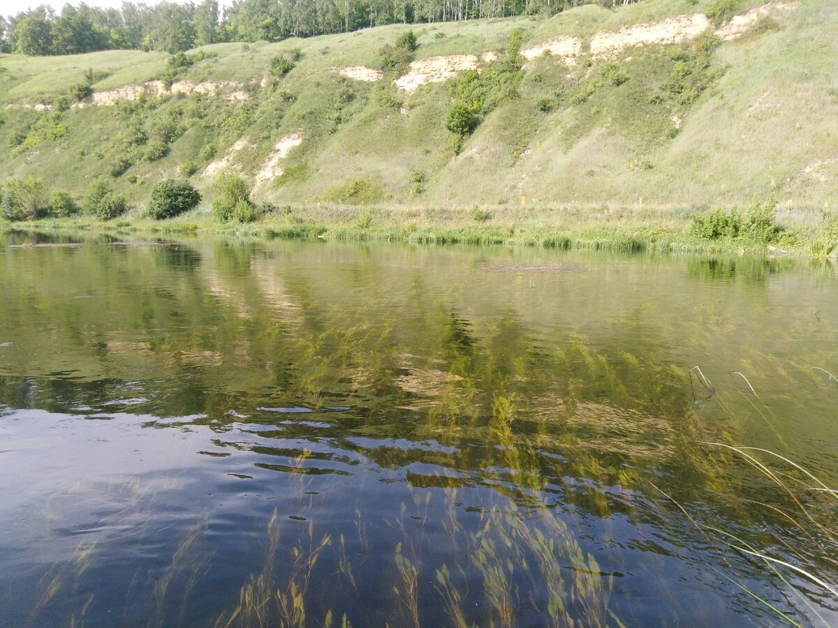 реки в орловской области