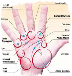Гадаем по руке: самая простая инструкция по хиромантии для начинающих