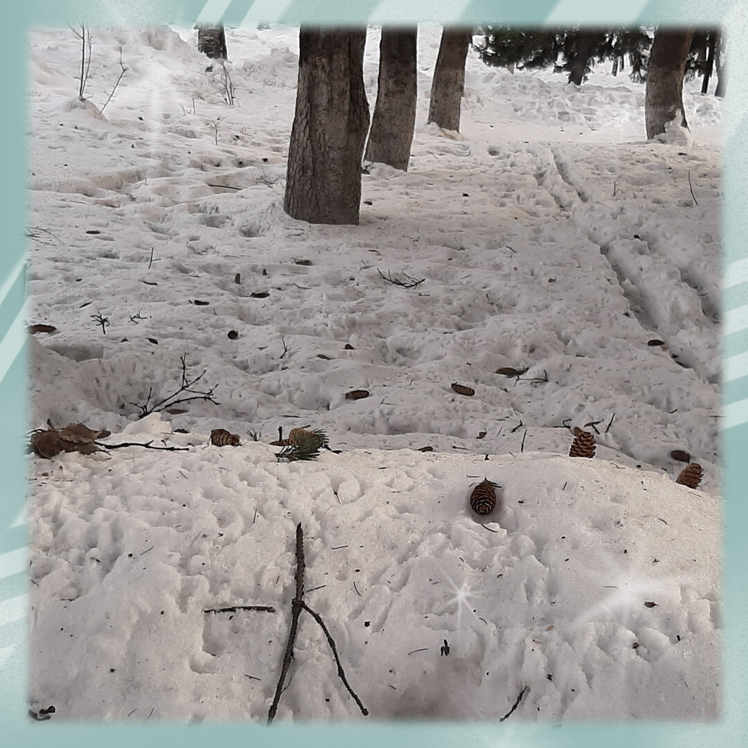 Ох, не хотела бы я оказаться здесь этой ночью