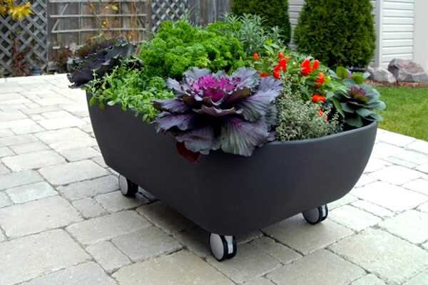 Когда речь заходит о мобильном садоводстве, включается народная смекалка и в дело идет все, что под руками: от пластиковых бутылок, до старой мебели и списанных чугунных ванн.