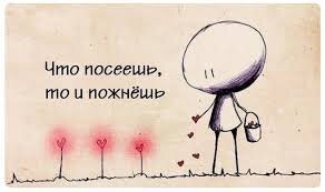 Что посеешь, то и пожнешь