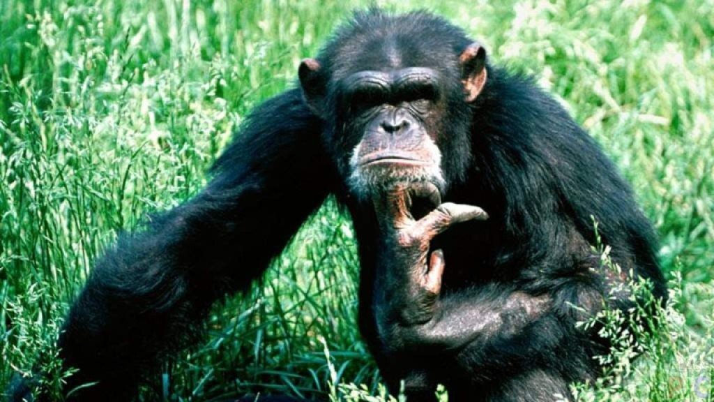 Найдите 10 отличий с моим фото.