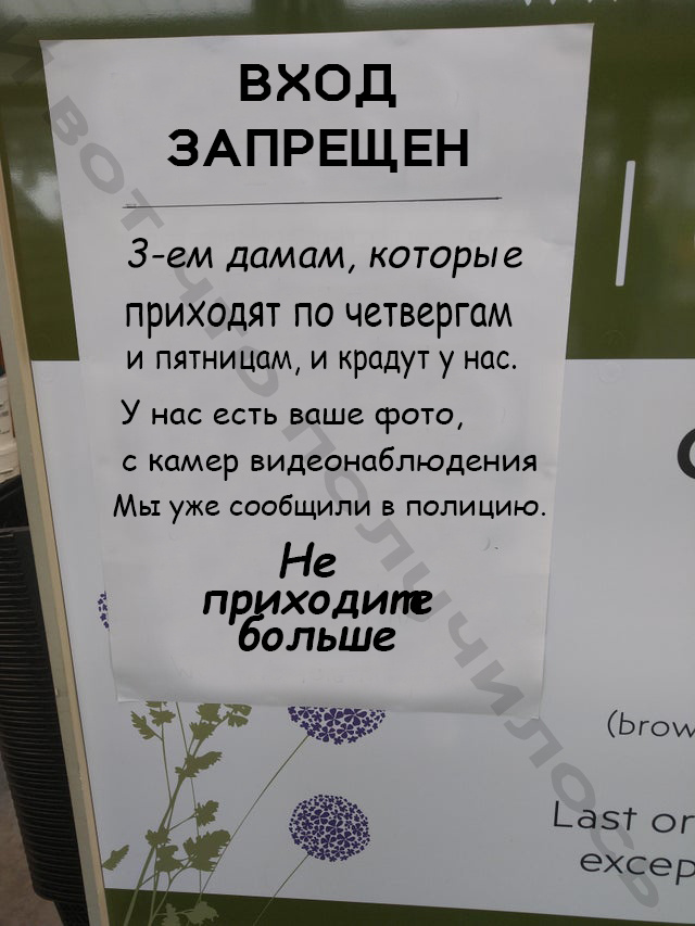 Ист: Reddit.com Перевел: И вот что получилось