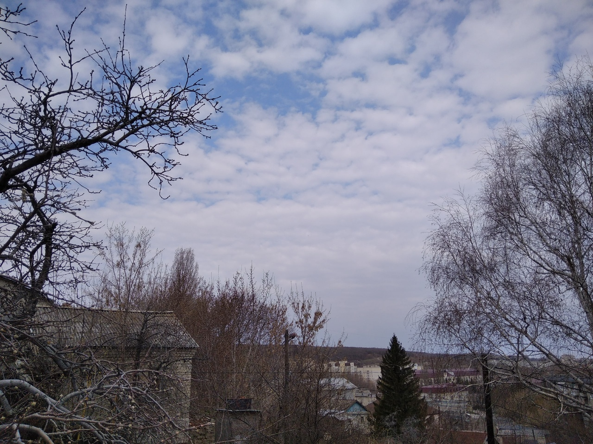 фото из семейного архива