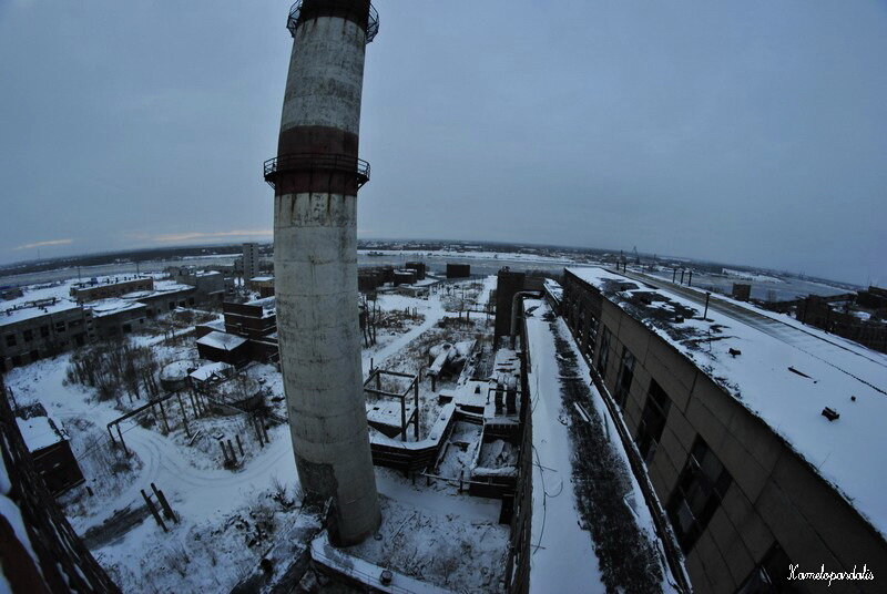 Гидролизный завод архангельск