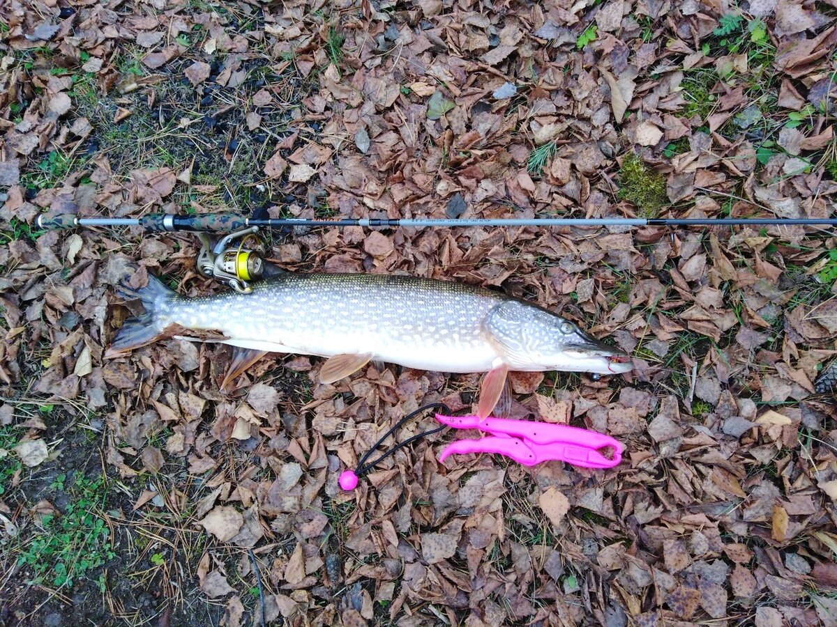 так как я сам-спиннингист,то говорить буду про ресурсы,посвященные спиннингу.Но общие рекомендации применимы для любых видов ловли.