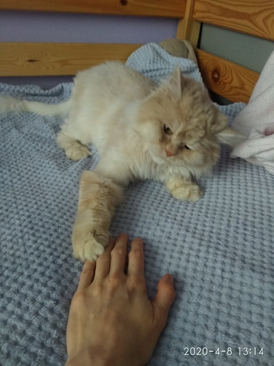 Игрулькин мой))