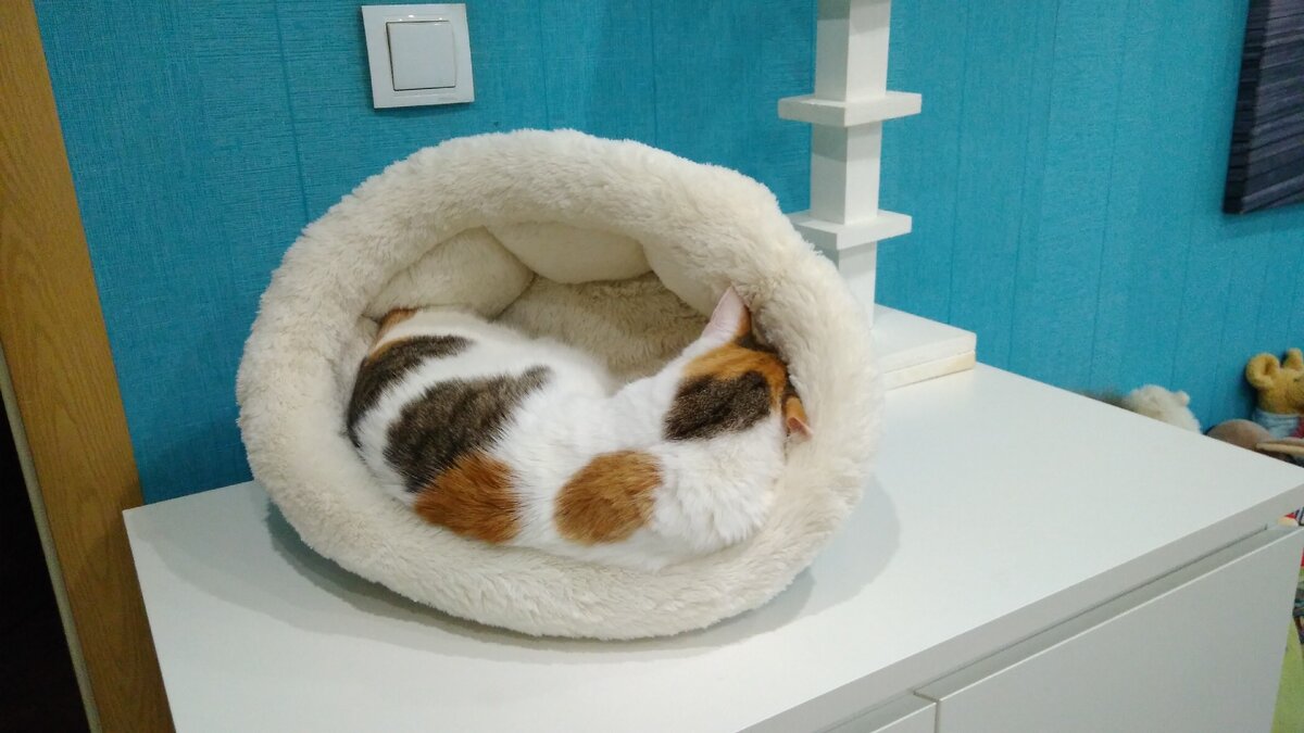 Фото из личного архива