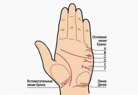 Хиромантия, линии брака линии брака на руке | Метки: ладонь, значение, правый, фото