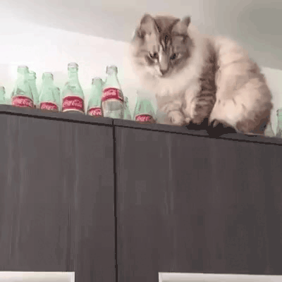 Жми на котика, чтобы посмотреть видео. 