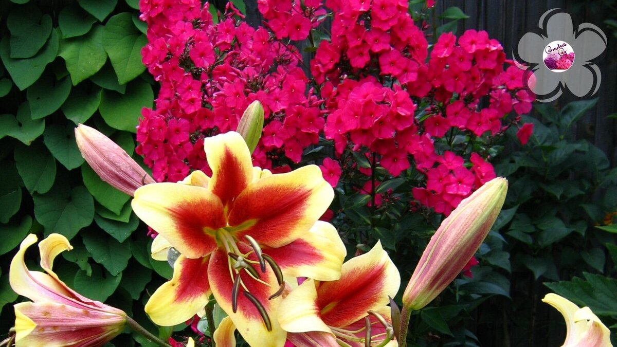 Подписывайтесь на наш канал, чтобы не пропустить нужную информацию