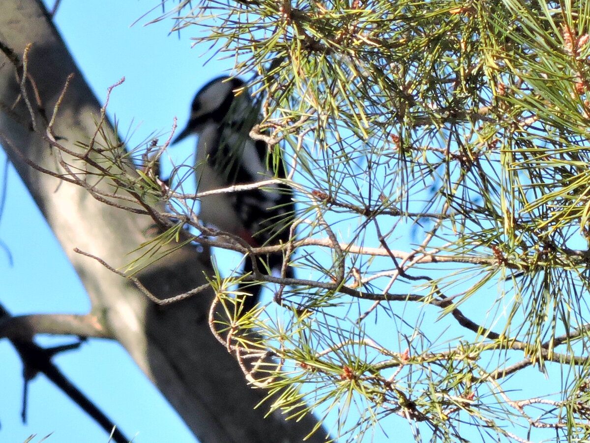 фото  автора