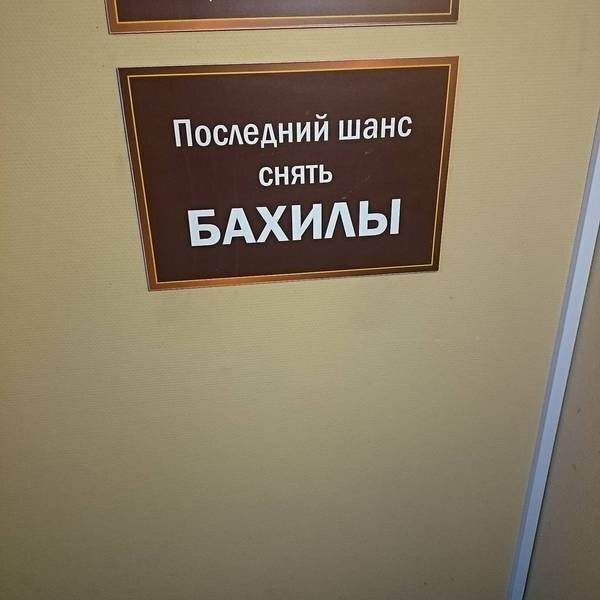 источник фото https://cs8.pikabu.ru/