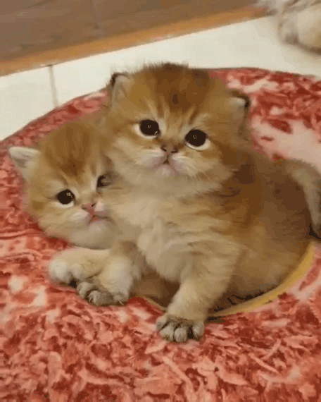 Нажми на картинку, чтобы посмотреть видео. Источник: Ютуб.